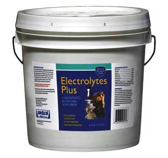 ELECTROLYTES PLUS MULTI-SPECIES SUPPLEMENT 10 LB PAIL
