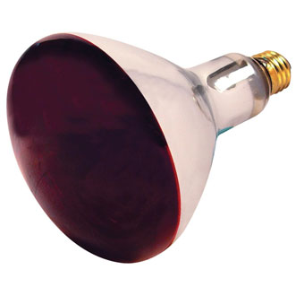 HEAT LAMP R40 INFRARED REFLECTOR 250W RED