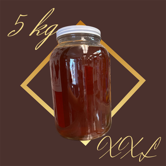 Bee Angel All Natural Honey - Miel XX Large (5 kg)