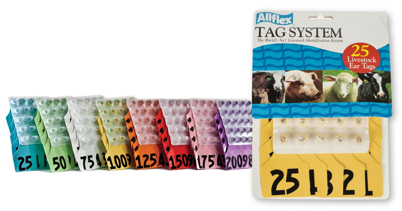 ALLFLEX: LARGE - FEM/SM MALE - BLUE -1-25