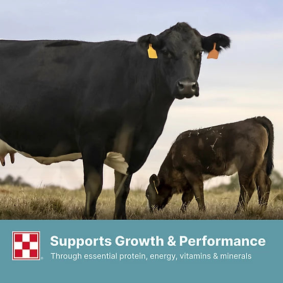Purina Cattle Starter / Creep Pellet 14%