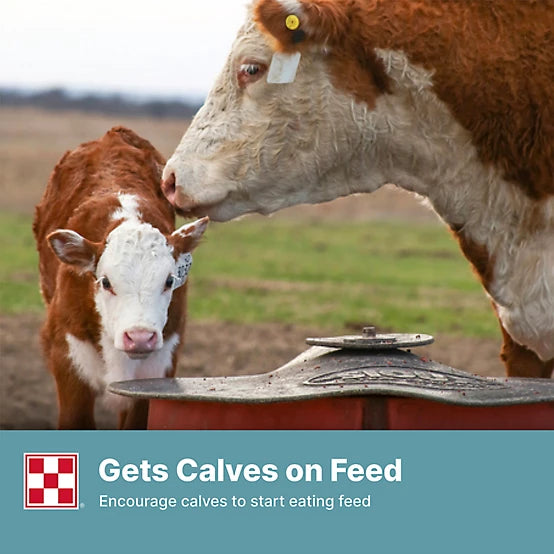 Purina Cattle Starter / Creep Pellet 14%