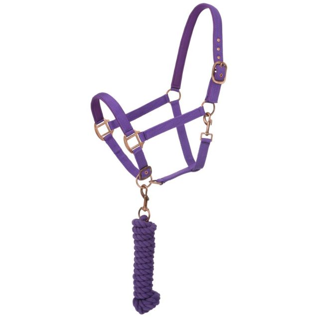 PURPLE - Neoprene Padded Halter with Lead Set