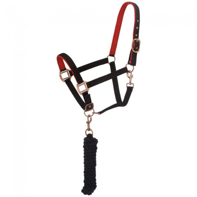 BLACK - Neoprene Padded Halter with Lead Set