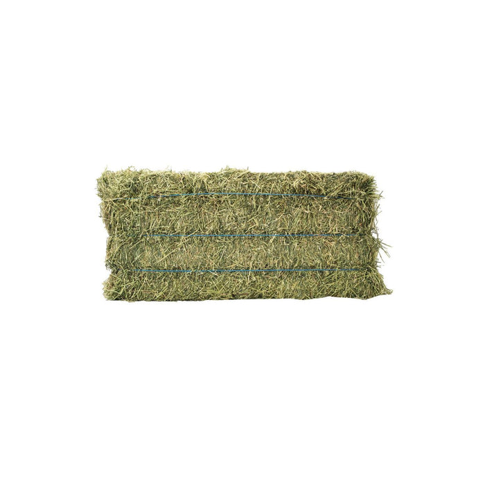 ALFALFA ZAPATA - 3 STRING (PACA ALFALFA 3 HILOS)