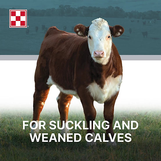 Purina Cattle Starter / Creep Pellet 14%