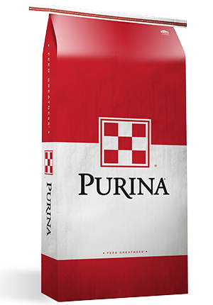 PURINA DAIRY SPEC B16 CRSE