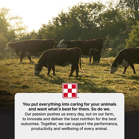 Purina Cattle Starter / Creep Pellet 14%