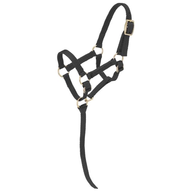 TOUGH1 MINIATURE NYLON HALTER - LARGE BLACK