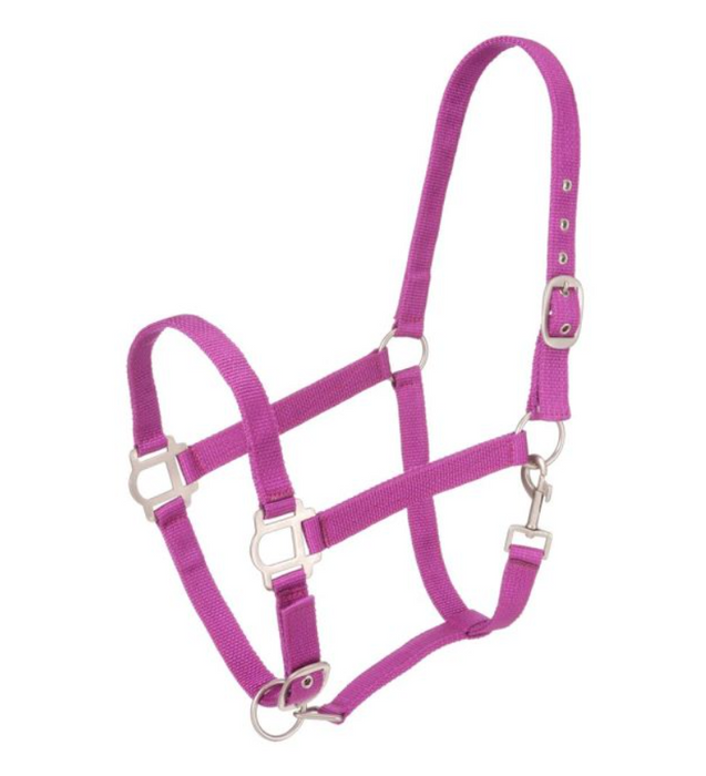 PURPLE - TOUGH1 NYLON HORSE HALTER WITH SATIN HARDWARE