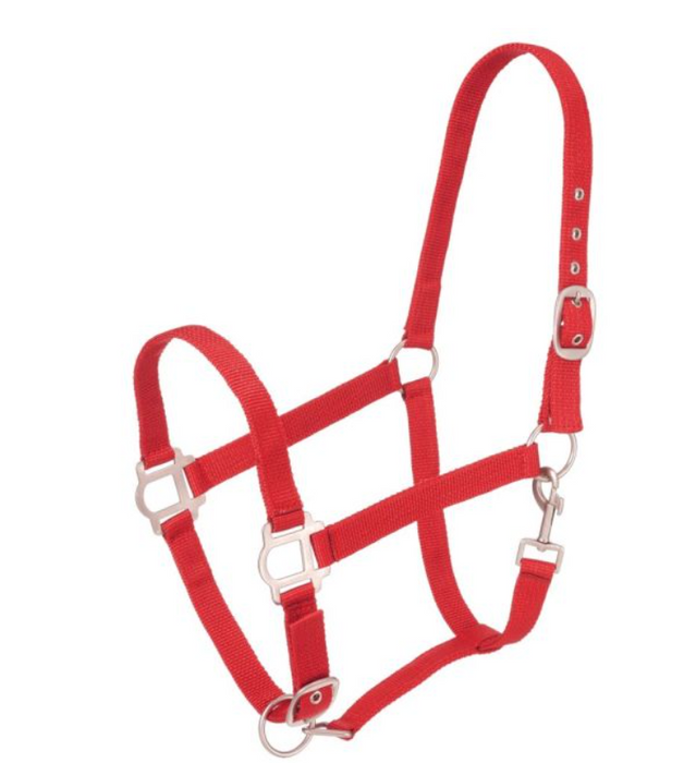 RED - Tough-1 Nylon Halter with Satin Hardware