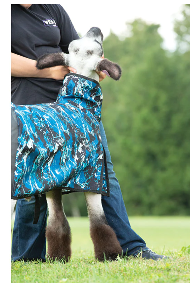 Nylon Sheep Blanket, Mesh Butt - SMALL- Wave