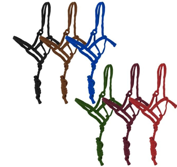 Showman Assorted Shipping Halter with 6 Ft Lead