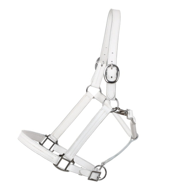 White Average Horse Size Leather Halter