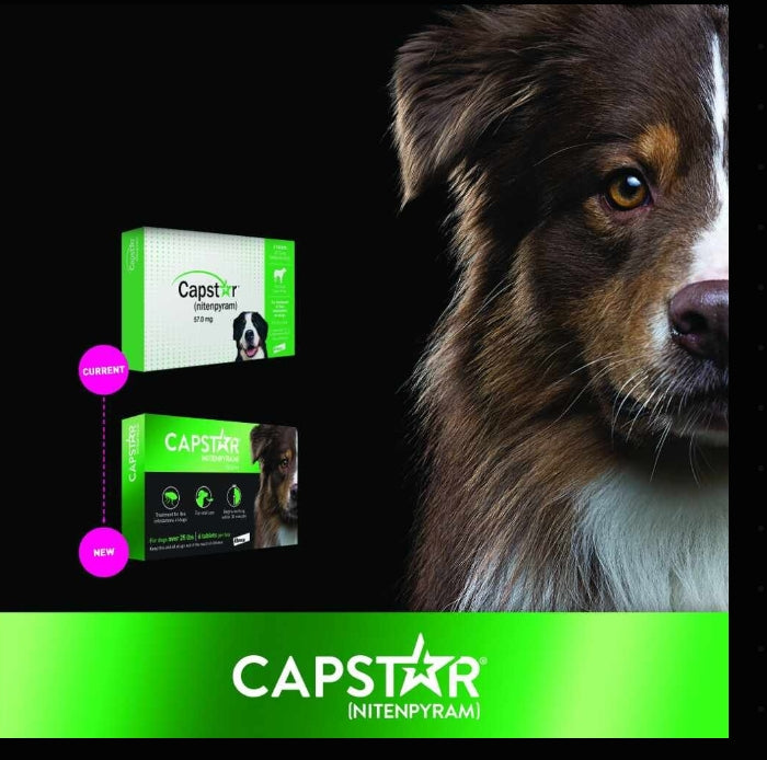 CAPSTAR FLEA TABS-DOGS (26-125#) BOX