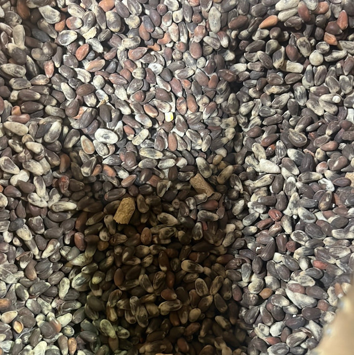 Delinted Cotton Seed 50#