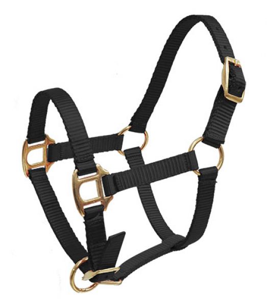 SHOWMAN - PREMIUM NYLON HALTER W/ BRASS HARDWARE - MINI SIZE