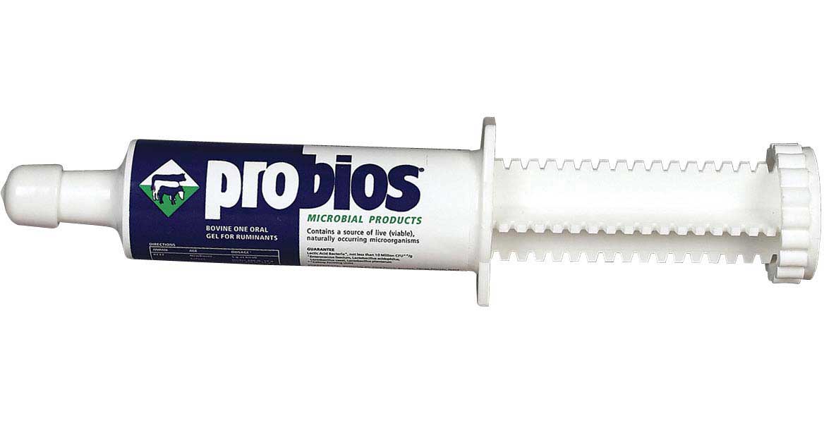Probios Bovine One Gel 60 CC