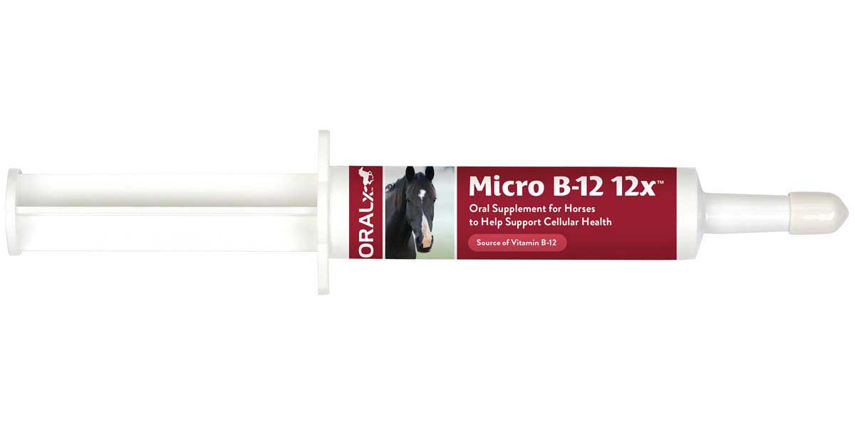 Micro B-12 12x