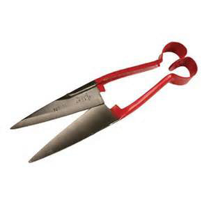 Sheep Shears B&B double bow 6.5''
