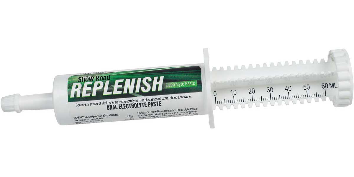 Sullivan's Show Road Replenish Electrolyte Paste