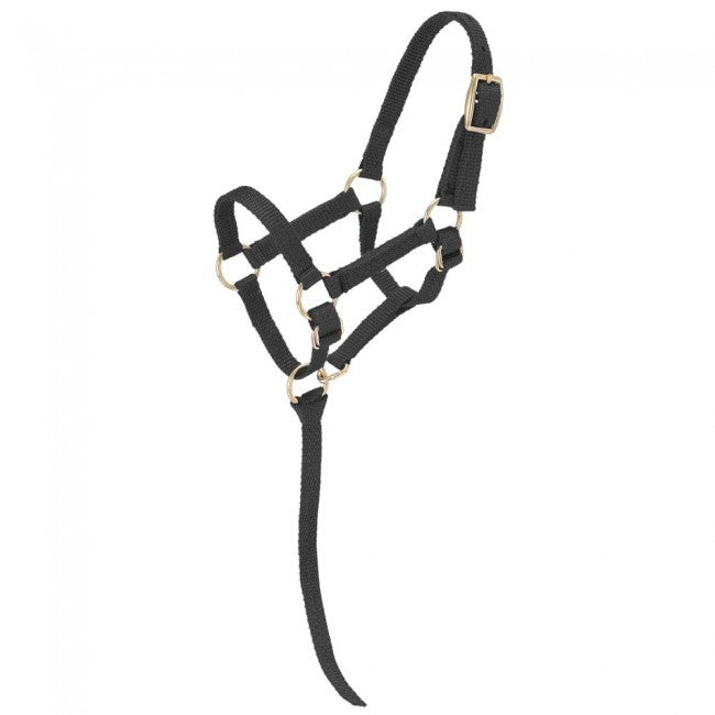 Tough-1 Miniature Nylon Halter  MINI REGULAR
