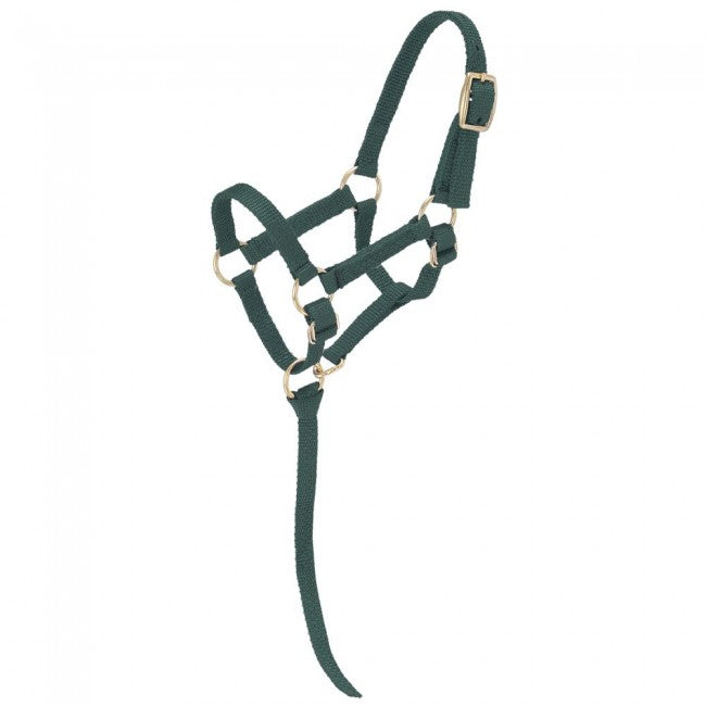 Tough-1 Miniature Nylon Halter  MINI REGULAR