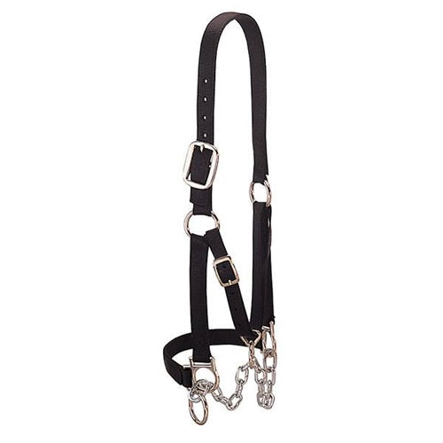 Heavy-Duty Restraint Halter, Medium - Black