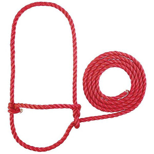 Rope Halter, Calf