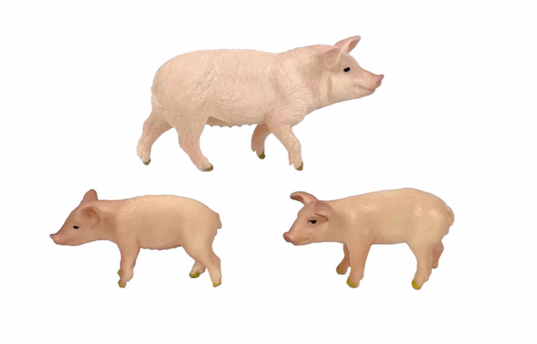 Pig & Piglets
