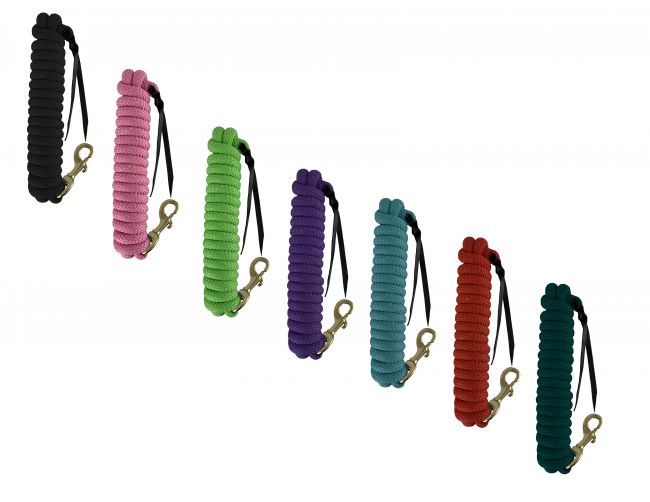 SHOWMAN 14' LEATHER END NYLON PRO BRAID TRAINING LEAD WITH BRASS SNAP