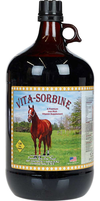 VITA-SORBINE VITAMIN SUPPLEMENT 200 MG B3 - 1 GAL