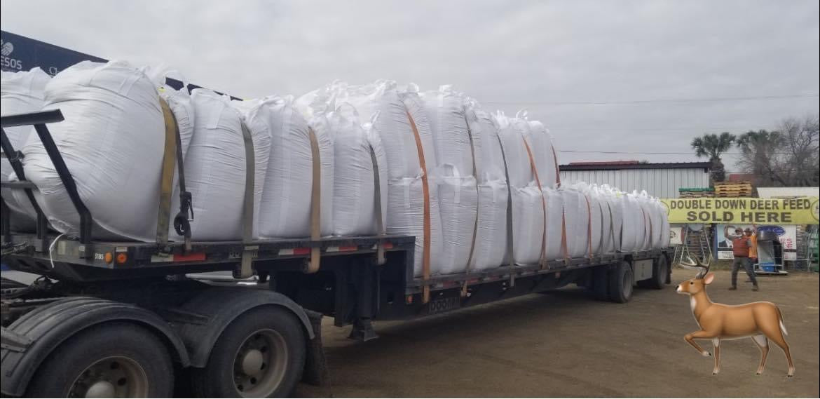 COTTON SEED 1000 LB TOTES