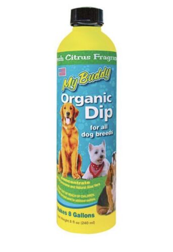 ORGANIC DIP