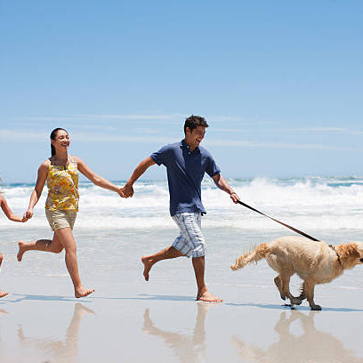 Cool Down with Our Summer Sale – 10% OFF Selected Animal Care Essentials!