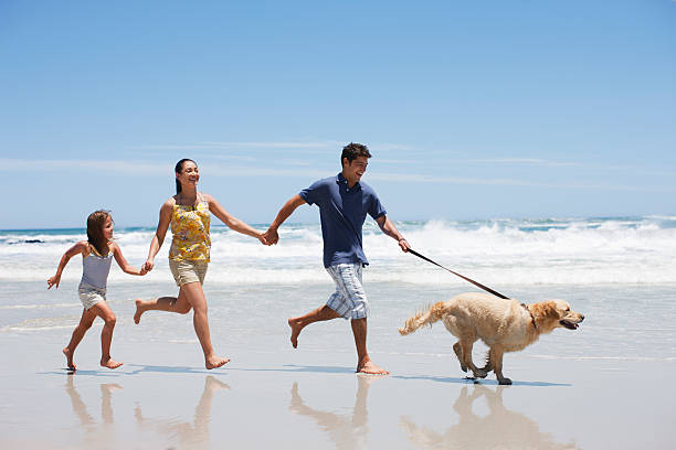 Cool Down with Our Summer Sale – 10% OFF Selected Animal Care Essentials!