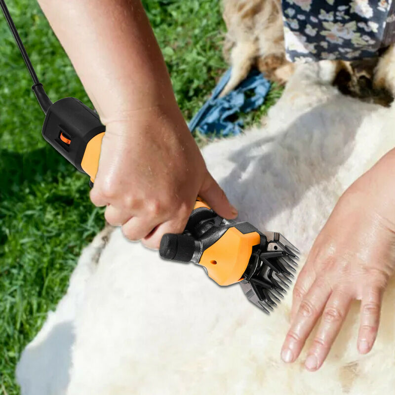 SHEEP: SHEARING EQUIPMENT
