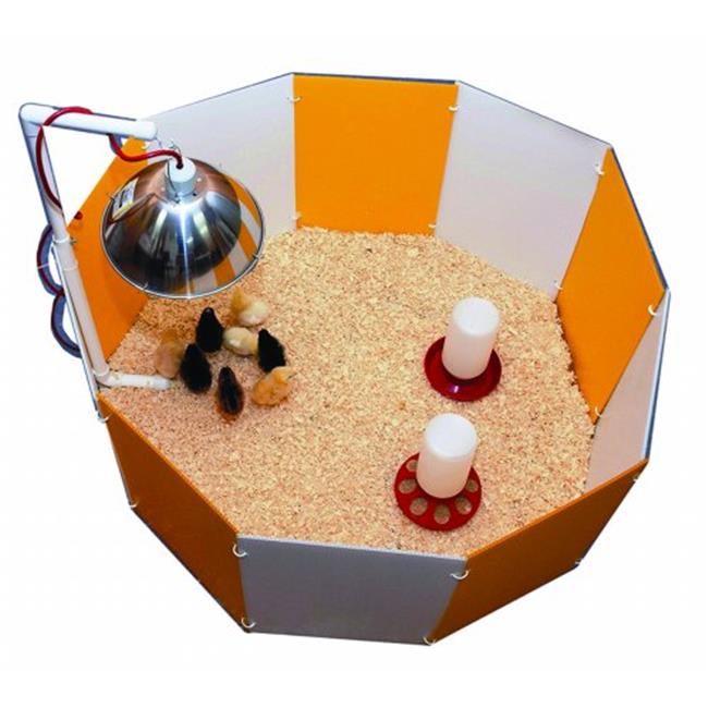 POULTRY: CHICK CORRALS