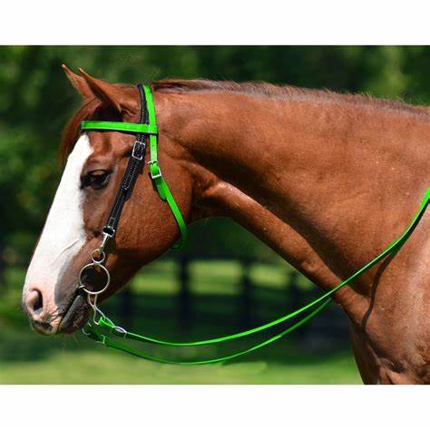 HORSE: REINS — Bushland Ranch Store