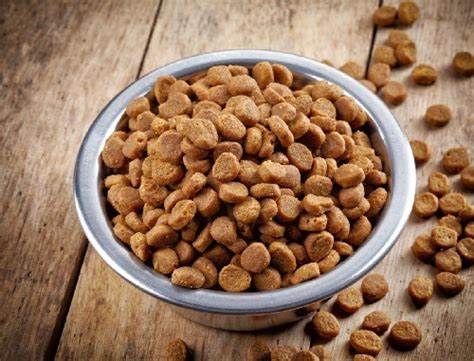 DRY FOOD`