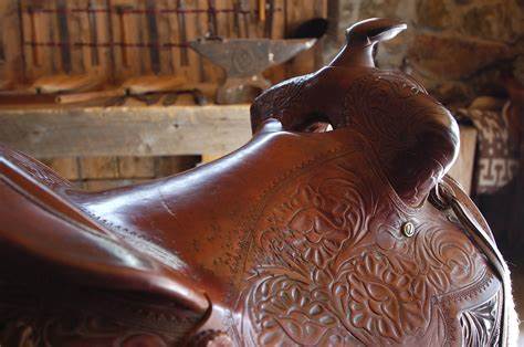 HORSE: LEATHER CARE