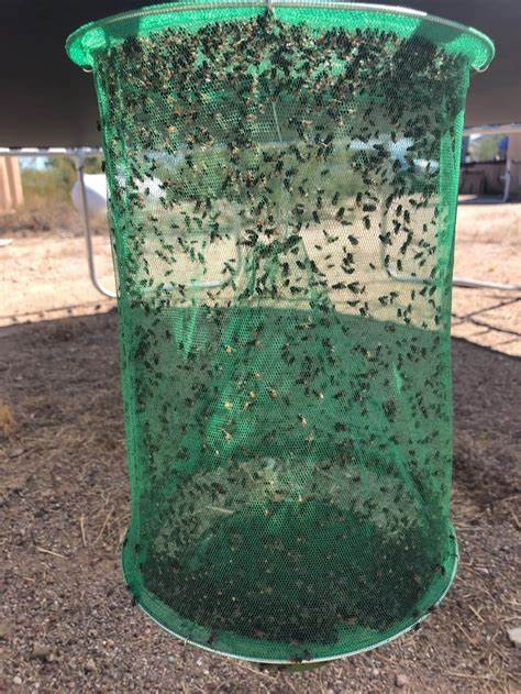 HORSE: FLY TRAPS & BAITS