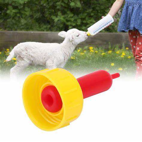 SHEEP: BOTTLES & NIPPLES