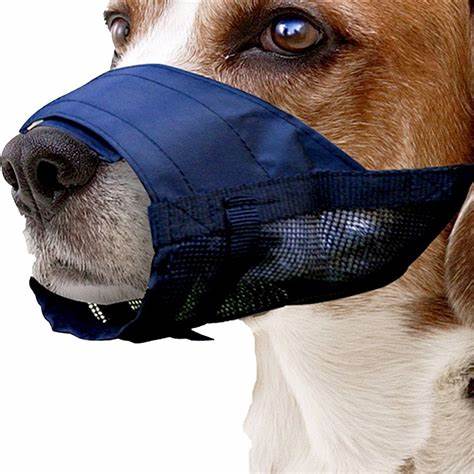 DOG: MUZZLE