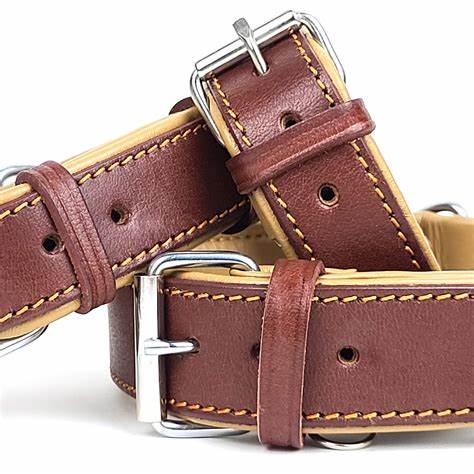 COLLARS, HARNESSES & LEASHES