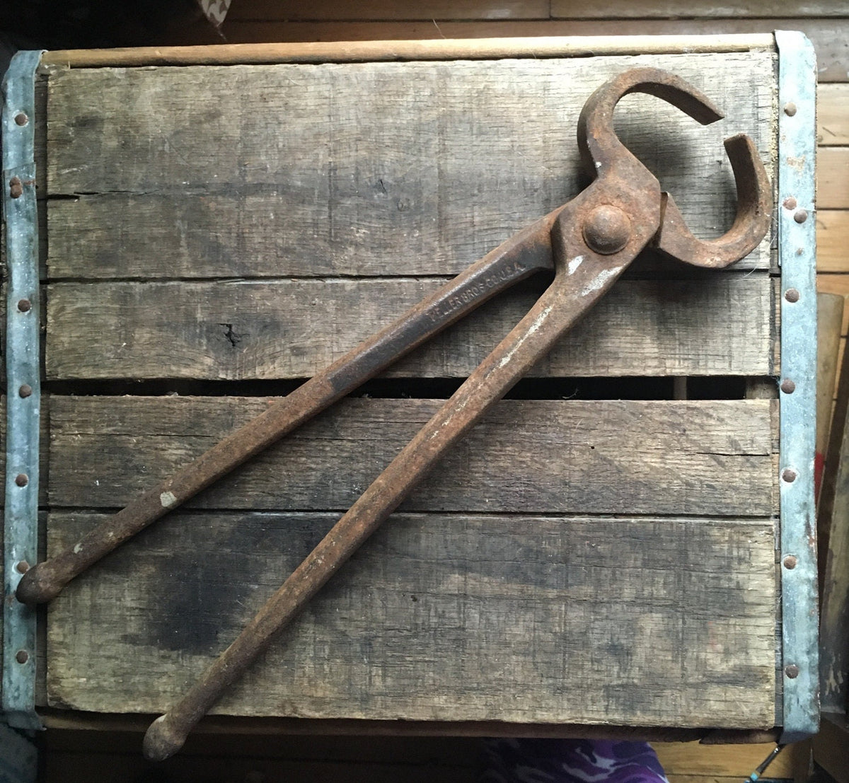 HORSE: FARRIER TOOLS — Bushland Ranch Store