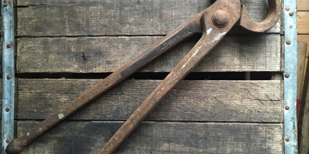 HORSE: FARRIER TOOLS — Bushland Ranch Store