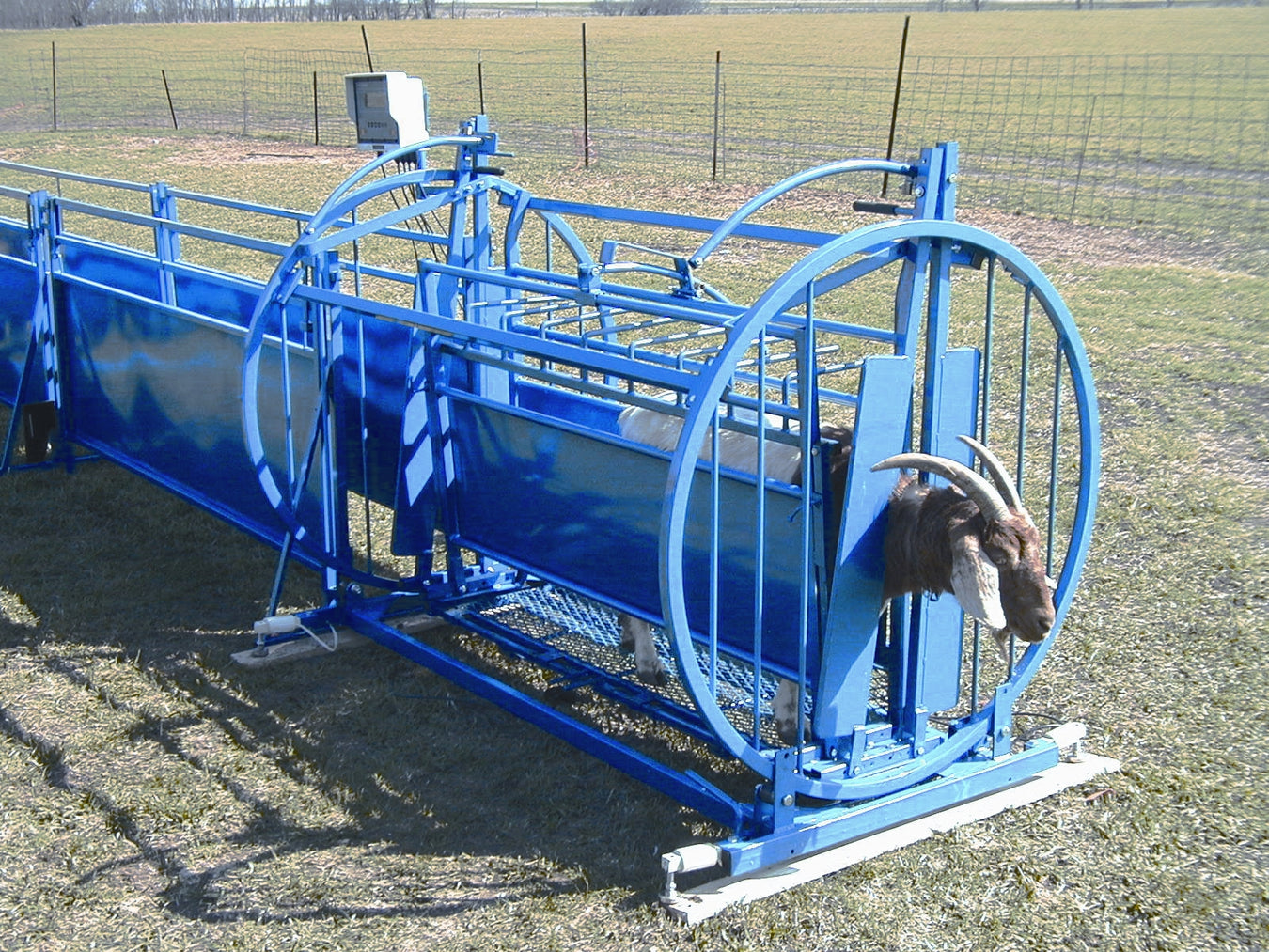 GOAT: SORTING EQUIPMENT