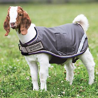 GOAT: SUPPLIES