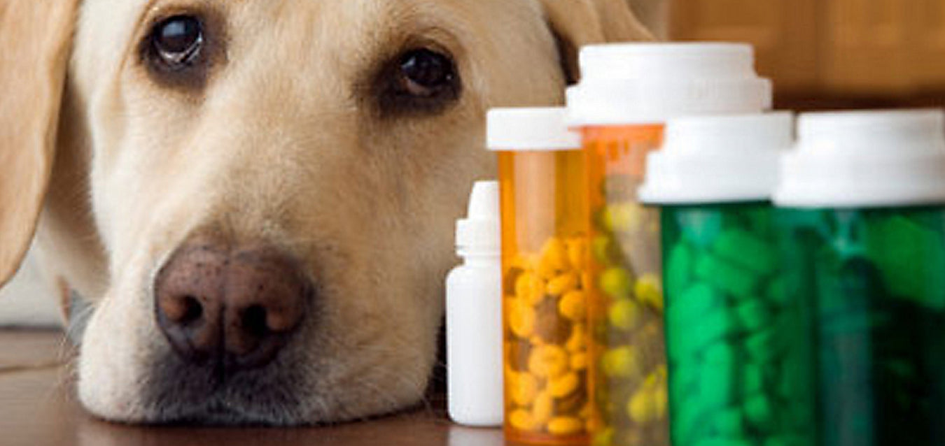 DOG - CAT VITAMINS & SUPPLEMENTS